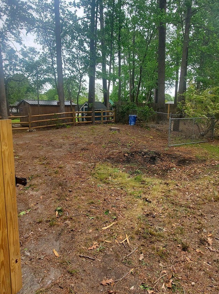 furniture and appliance removal and recycling, cleanout services, best junk removal companies near me, elizabeth city nc, halls hauling and junk removal