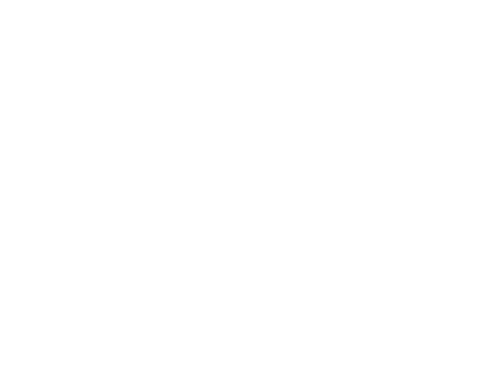 Dream Decks, Inc Logo