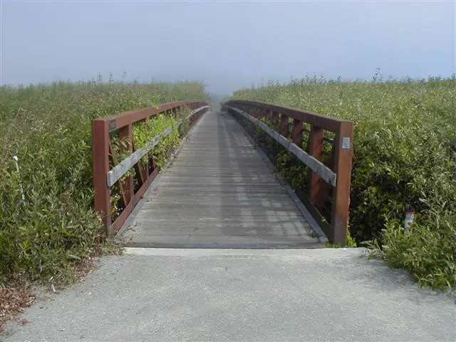 Puente peatonal de madera rodeado de arbustos verdes que conduce a la playa. Este camino es parte de Half Moon Bay Coastal Trail.