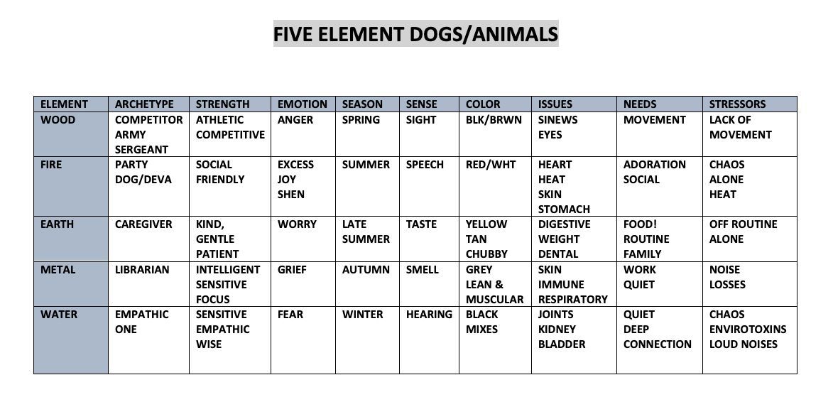 Five Chinese element tablle for dogs and other animals