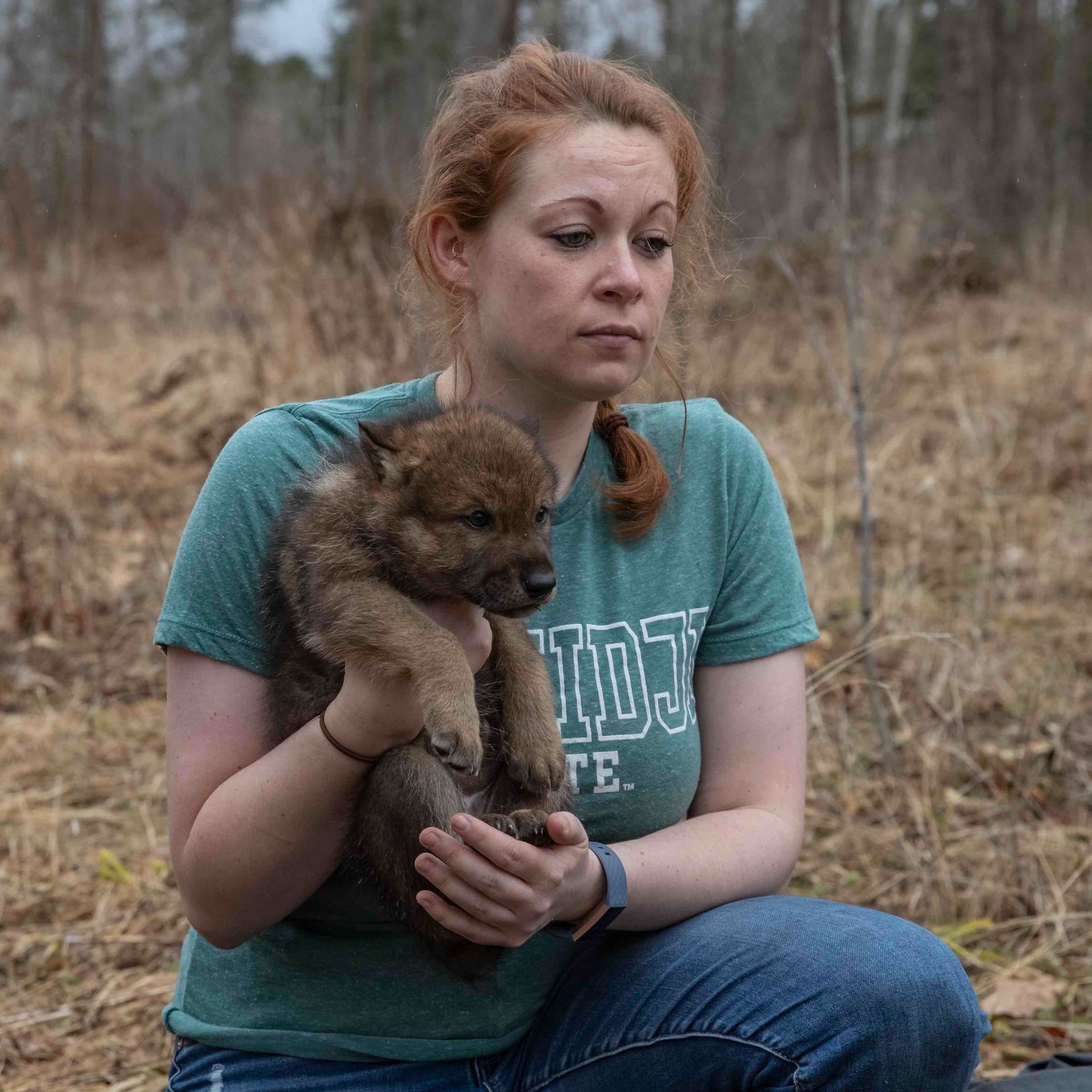 a woman is kneeling down holding a wolf puppy in her arms .