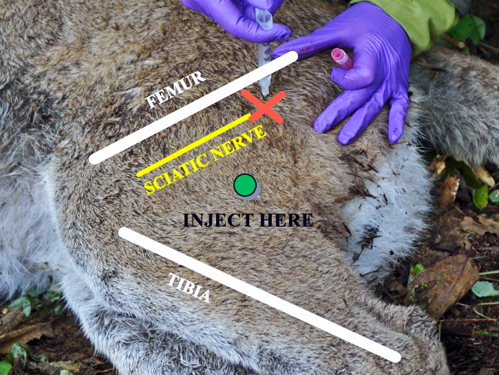 Gain the knowledge for quality animal care.