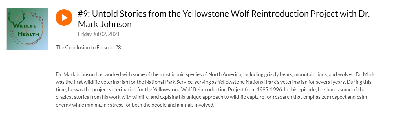 Dr. Mark Johnson has worked with some of the most iconic species of North America, including grizzly bears, mountain lions, and wolves. Dr. Mark was the first wildlife veterinarian for the National Park Service, serving as Yellowstone National Park’s veterinarian for several years. During this time, he was the project veterinarian for the Yellowstone Wolf Reintroduction Project from 1995-1996. In this episode, he shares some of the craziest stories from his work with wildlife, and explains his unique approach to wildlife capture for research that emphasizes respect and calm energy while minimizing stress for both the people and animals involved.