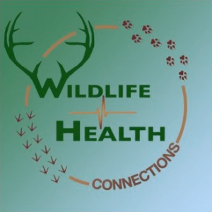 Wildlife Health podcast - Untold stories from 35 years of wildlife handling.