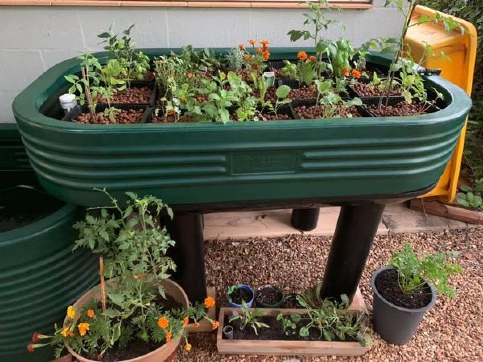 Green raised garden bed on legs, filled with various plants. Other potted plants nearby.