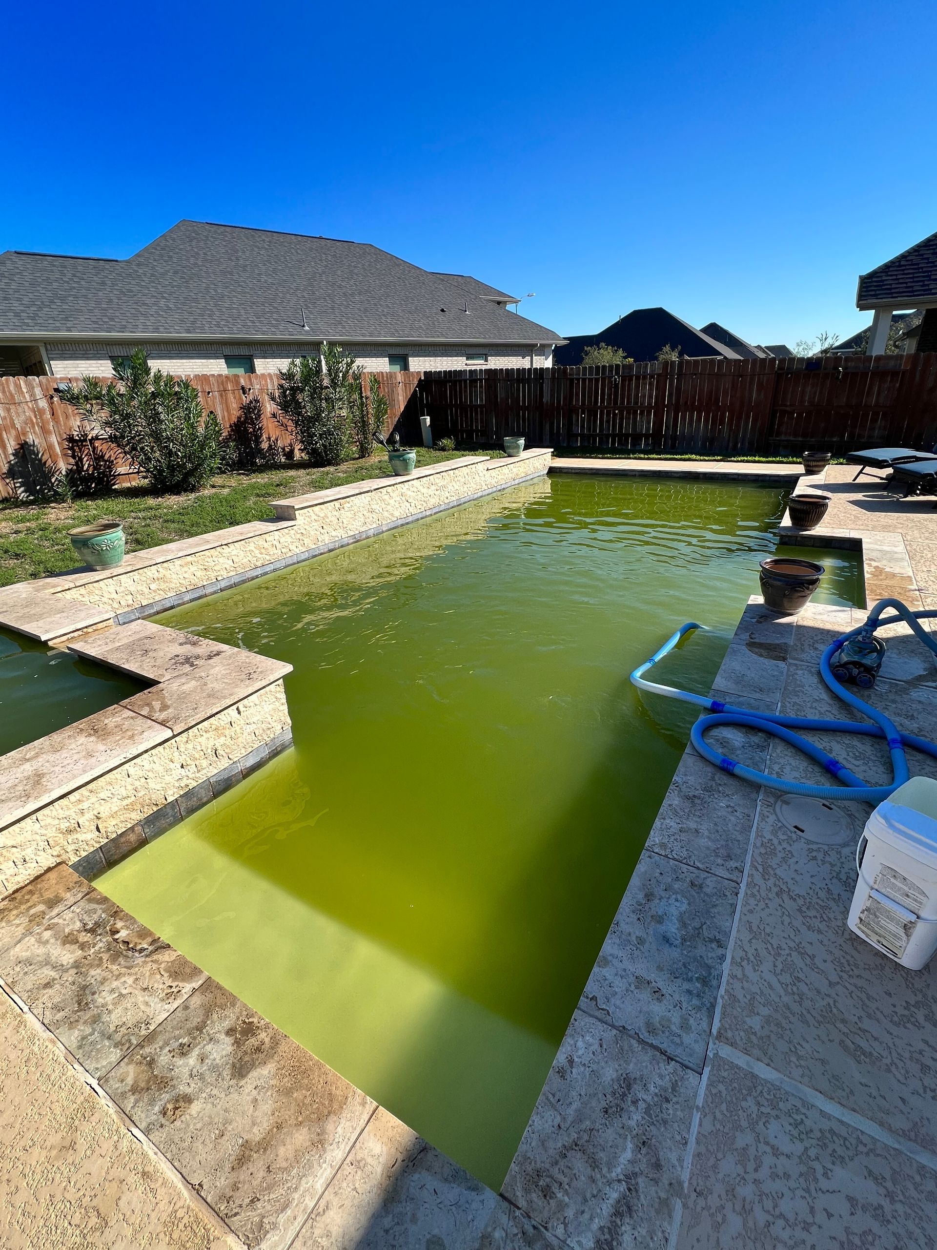 A swimming pool with a lot of green water and a house in the background.