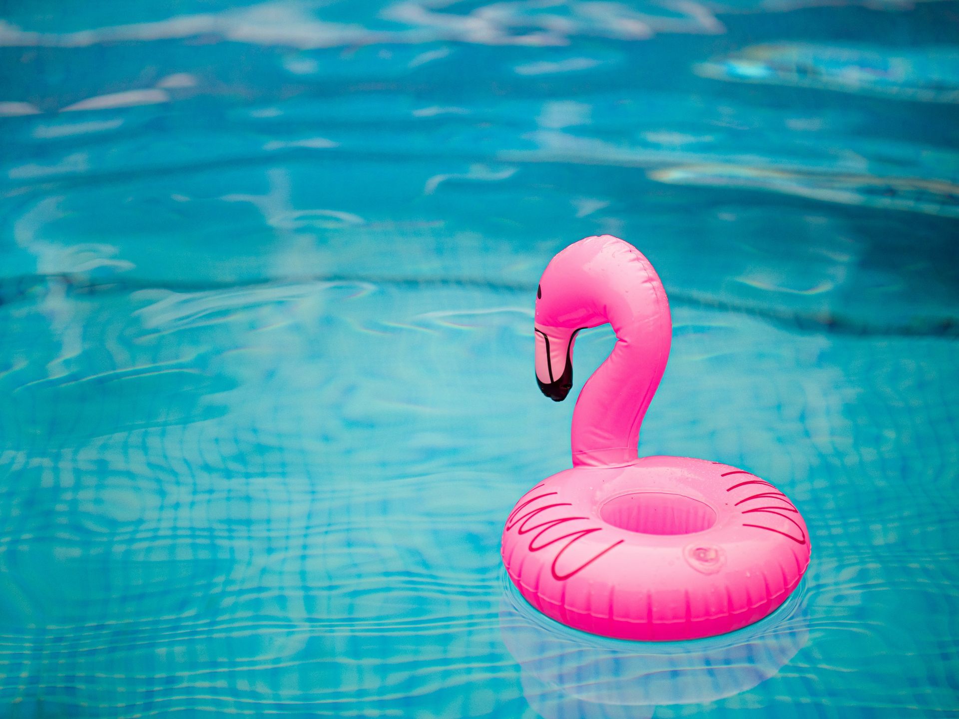 A pink flamingo float is floating in a swimming pool.