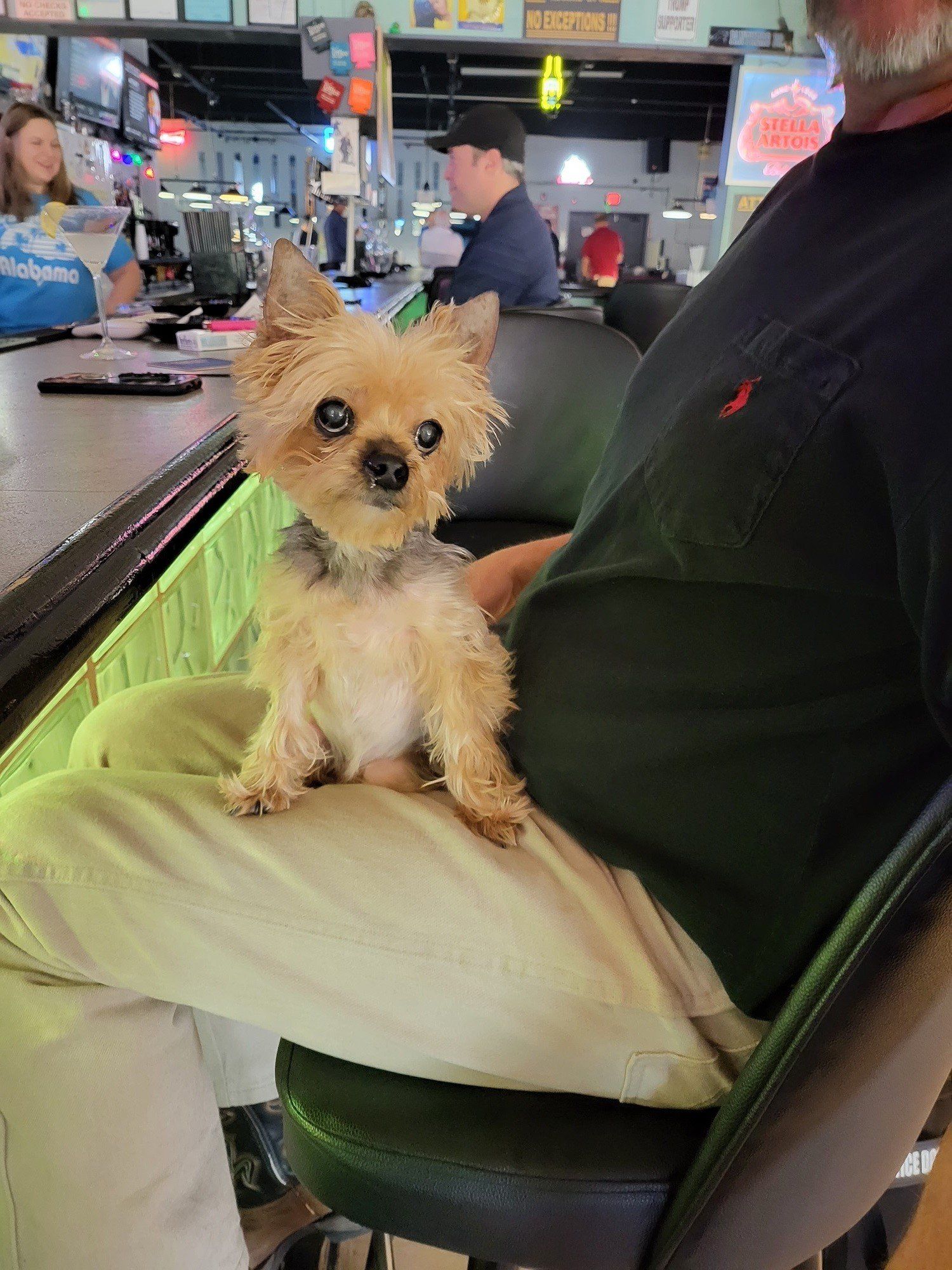 A Dog Sitting In The Leg Of A Man | Foley, AL | The Office Lounge
