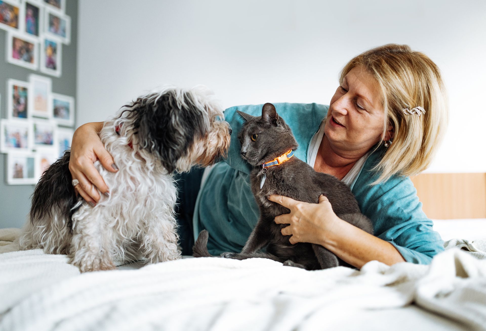 Woman on a bed petting a dog and a gray cat, with photos on the wall behind her.