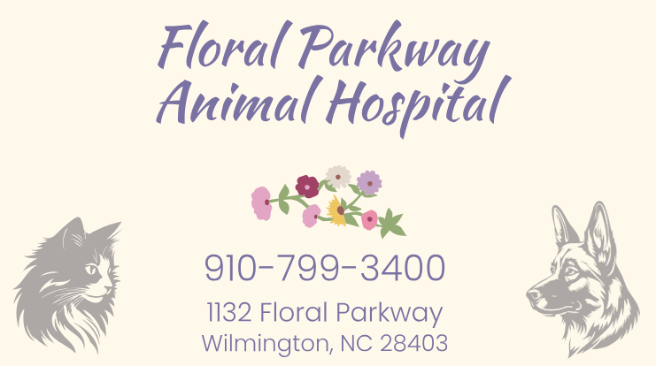 Floral Parkway Animal Hospital