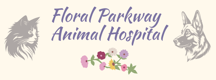 Floral Parkway Animal Hospital