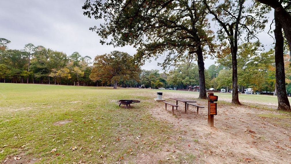 picnic table under trees