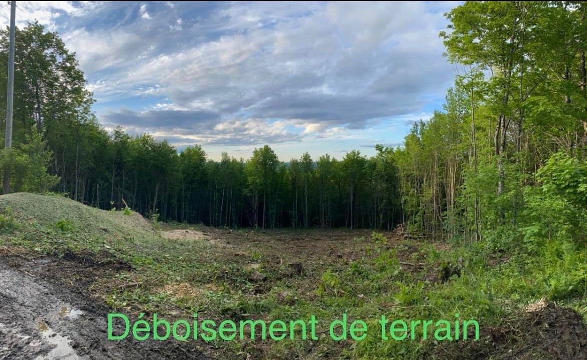 Débroussaillage d'un terrain avec des débris au premier plan, des arbres à l'arrière-plan, sous un ciel nuageux.