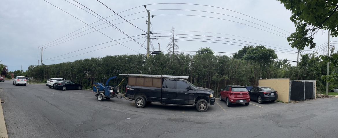 Une rue bordée de voitures garées le long d'une haie verte, sous un ciel couvert.