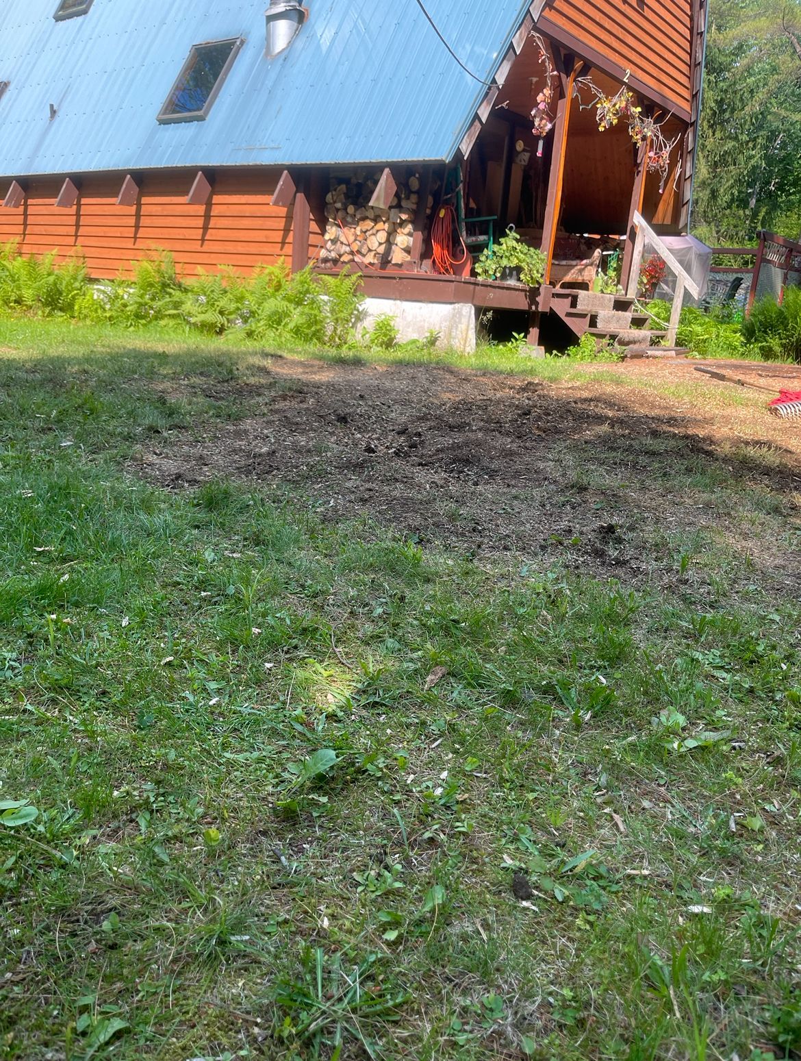 Chalet au toit bleu et aux murs en bois ; cour marron avec des touffes d'herbe ; un escalier mène à une petite véranda.