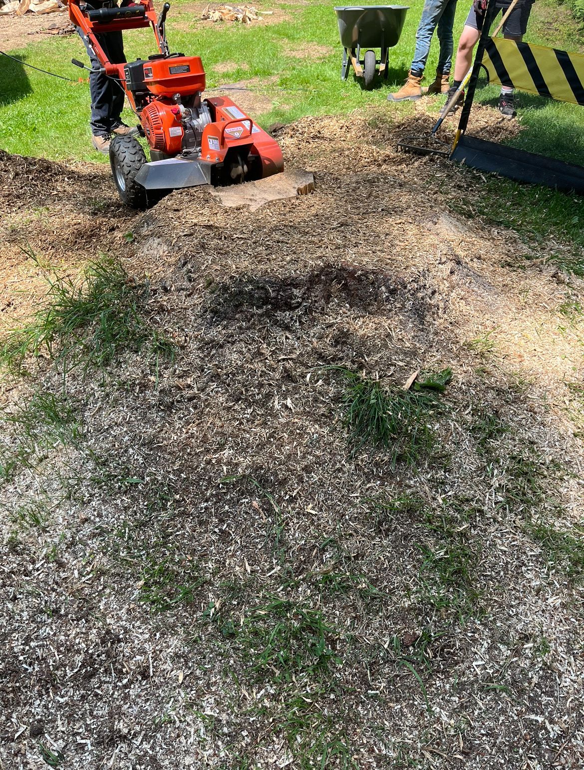 Une dessoucheuse en action, broyant une souche d'arbre en copeaux de bois dans une cour herbeuse.