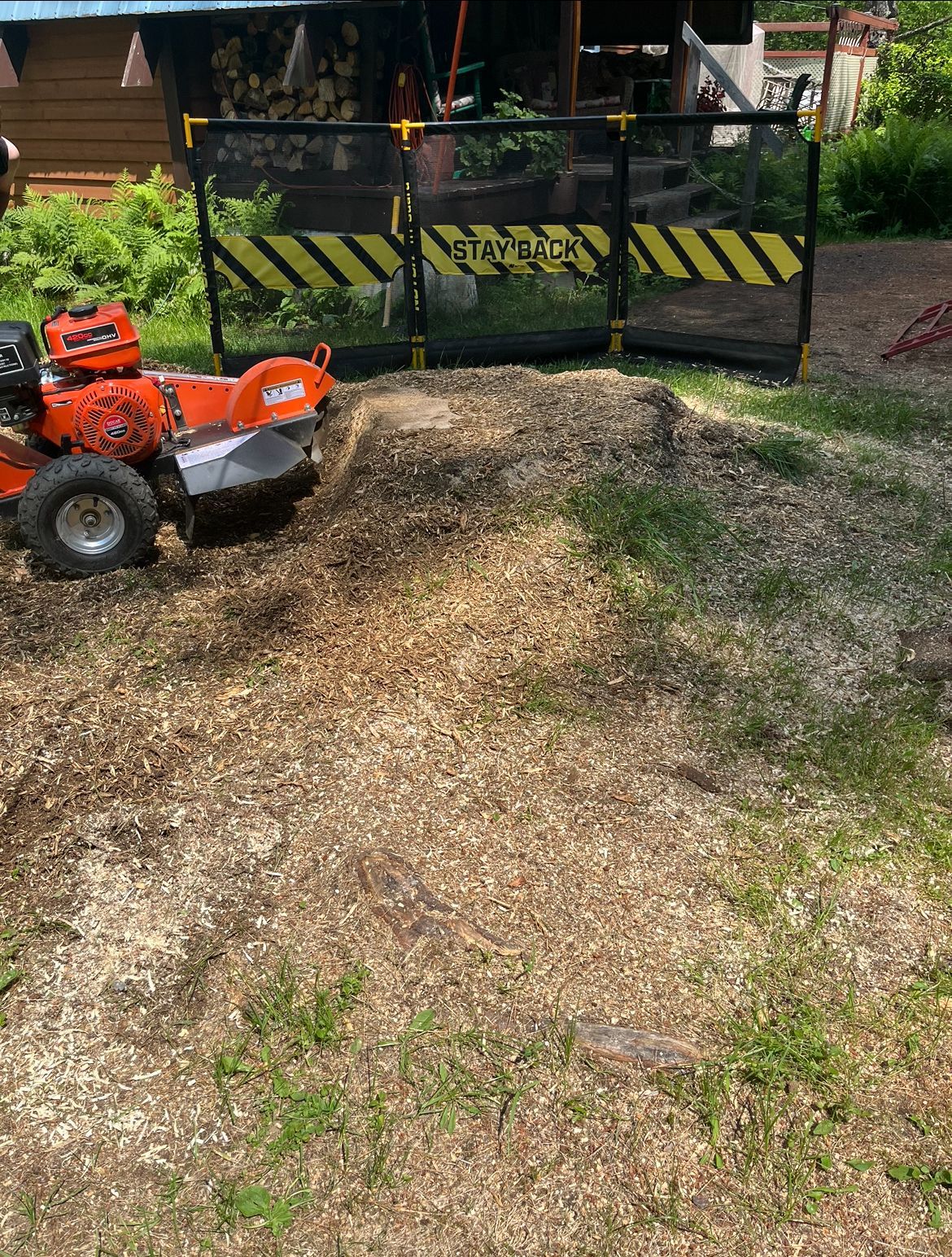 Opération de dessouchage. Une machine broie une souche d'arbre entourée de barrières de sécurité ; des copeaux de bois jonchent le sol.