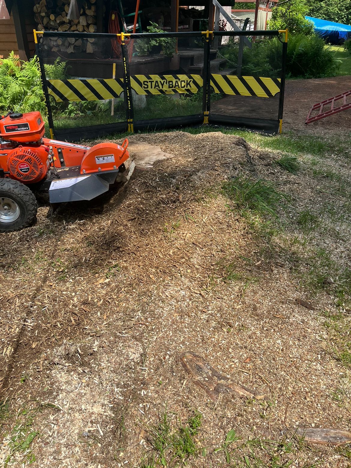 Broyeur de souches en action derrière une barrière de sécurité ; copeaux de bois éparpillés sur l'herbe.