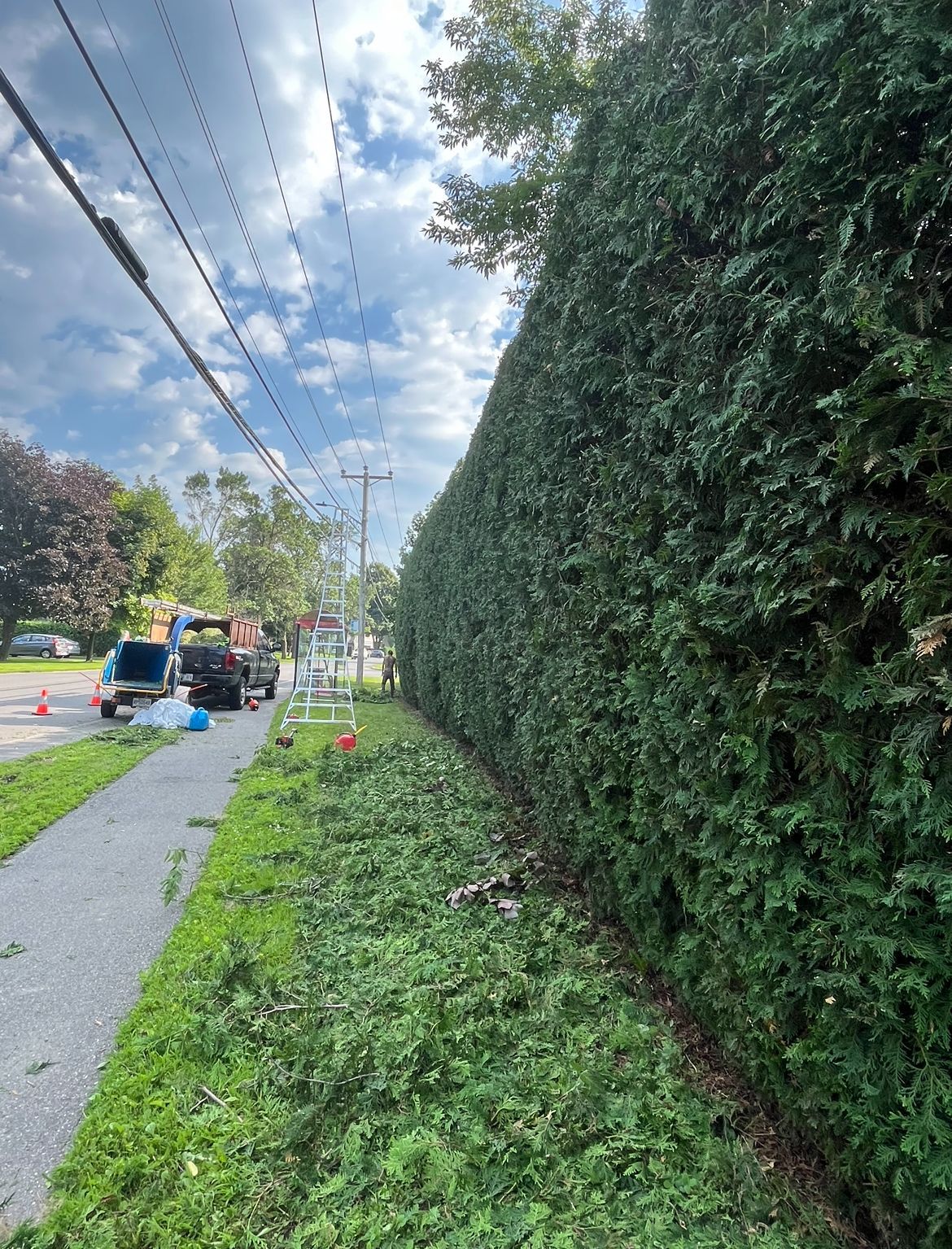 Une haute haie dense borde un trottoir. Des ouvriers et un camion sont visibles à l'arrière-plan, près de lignes électriques.