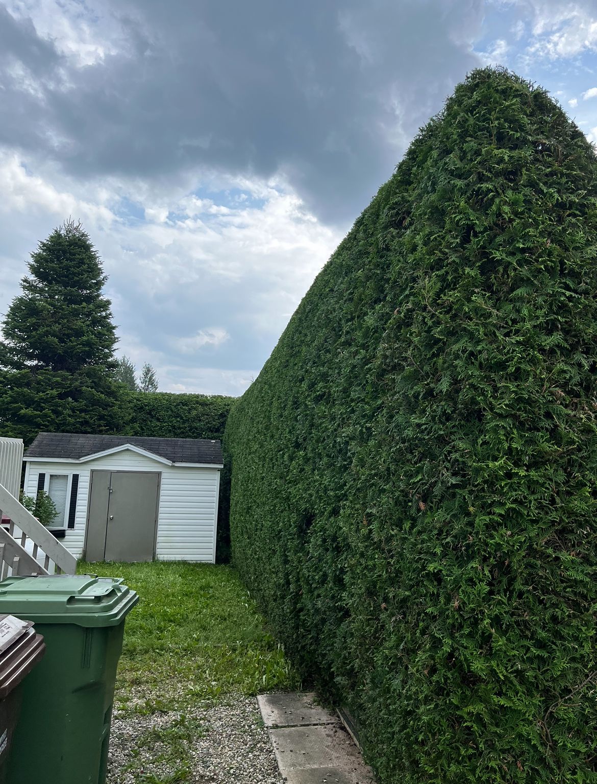 Une haute haie verte borde un petit abri blanc, sur fond de ciel nuageux.