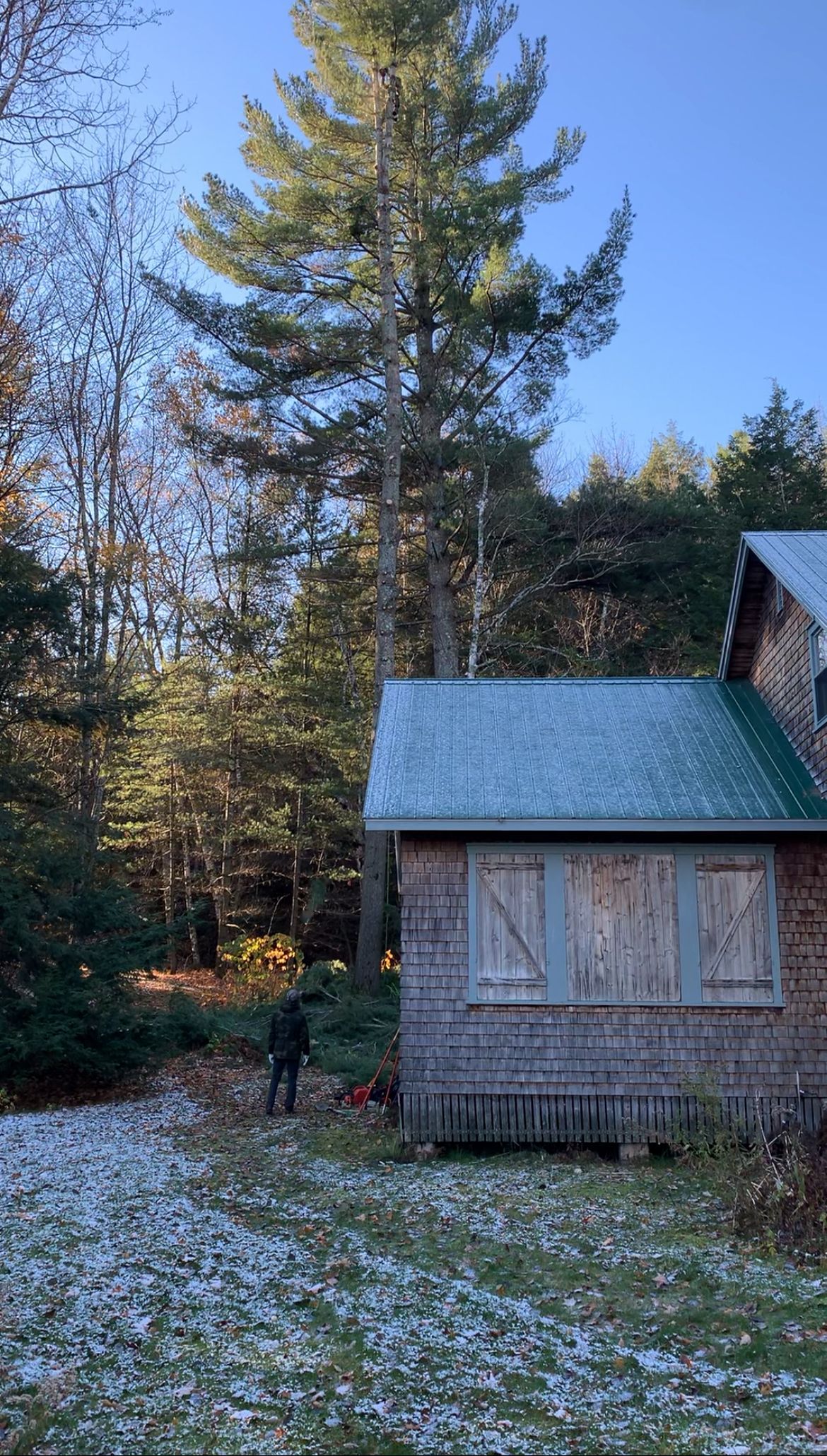Cour enneigée à côté d'une cabane en bois délabrée, dans une forêt, avec une personne et un chien.