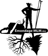 Silhouette d'un élagueur avec une tronçonneuse, des racines d'arbre et le texte « Émondage MLM.inc ».
