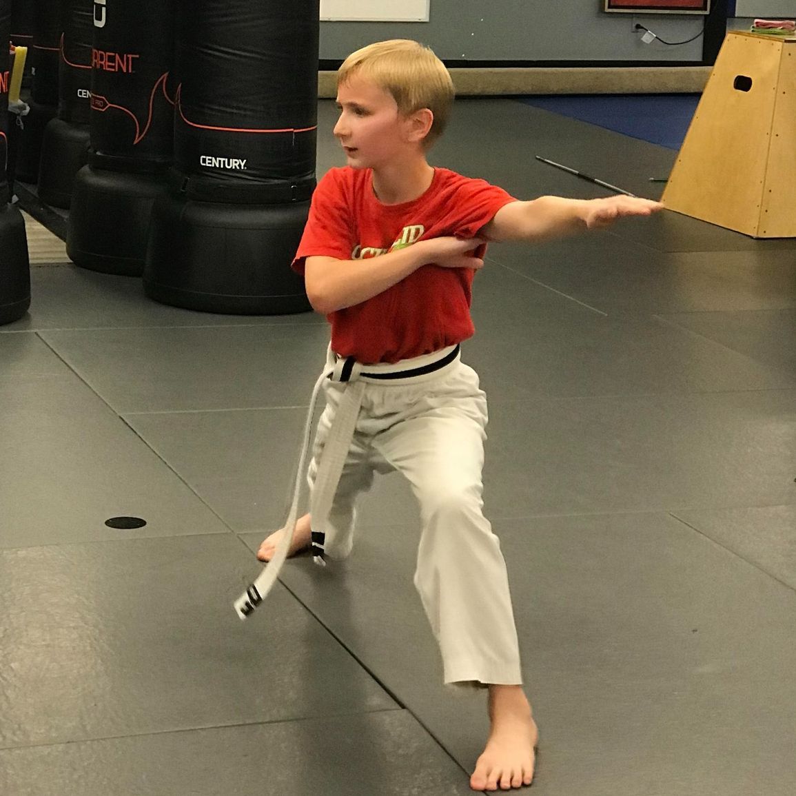 A young boy in a red shirt and white pants is practicing martial arts