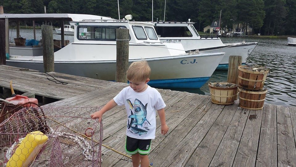 Young Boy Looking at Crab — Bozman, MD — PT Hambleton Seafood