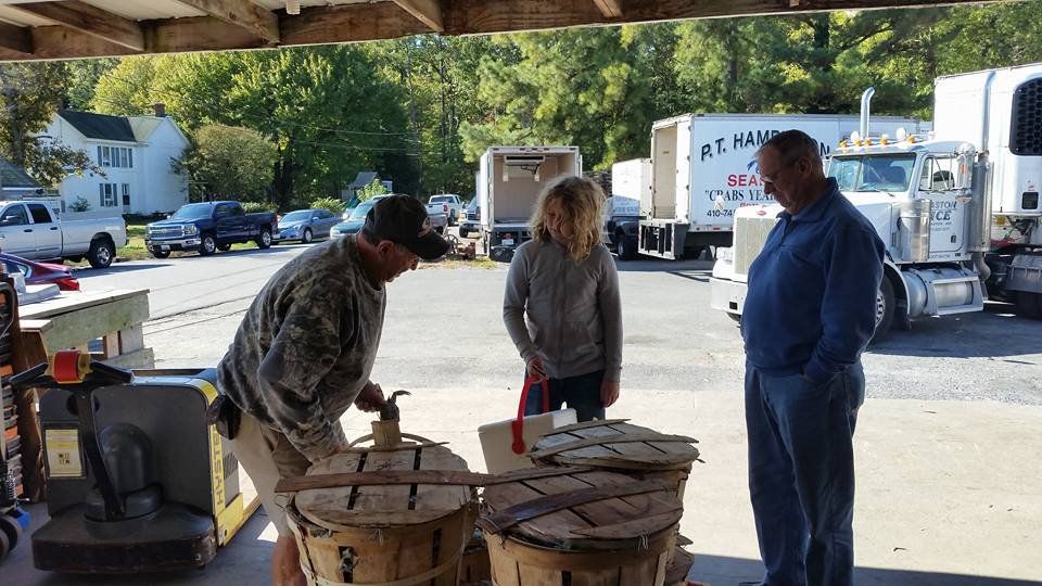 Buyer — Bozman, MD — PT Hambleton Seafood