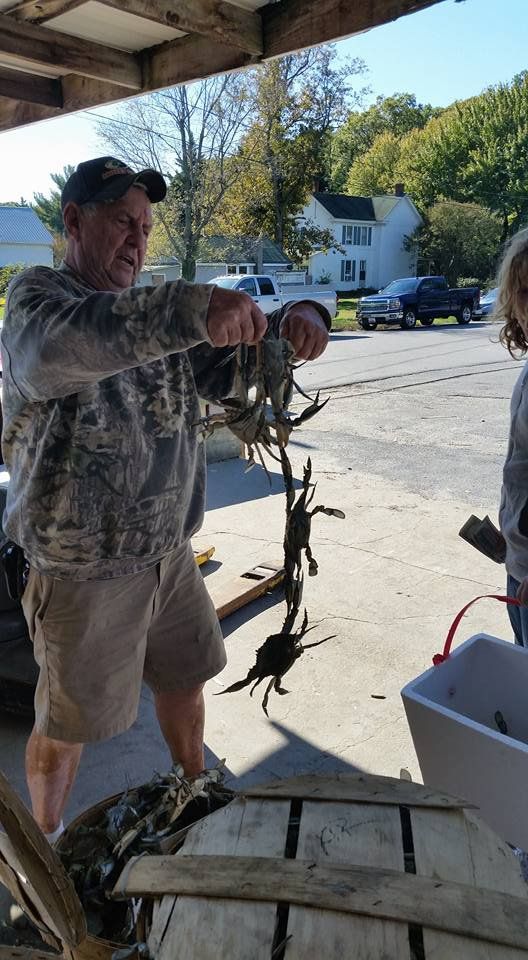 Man Pull Out the Crab — Bozman, MD — PT Hambleton Seafood