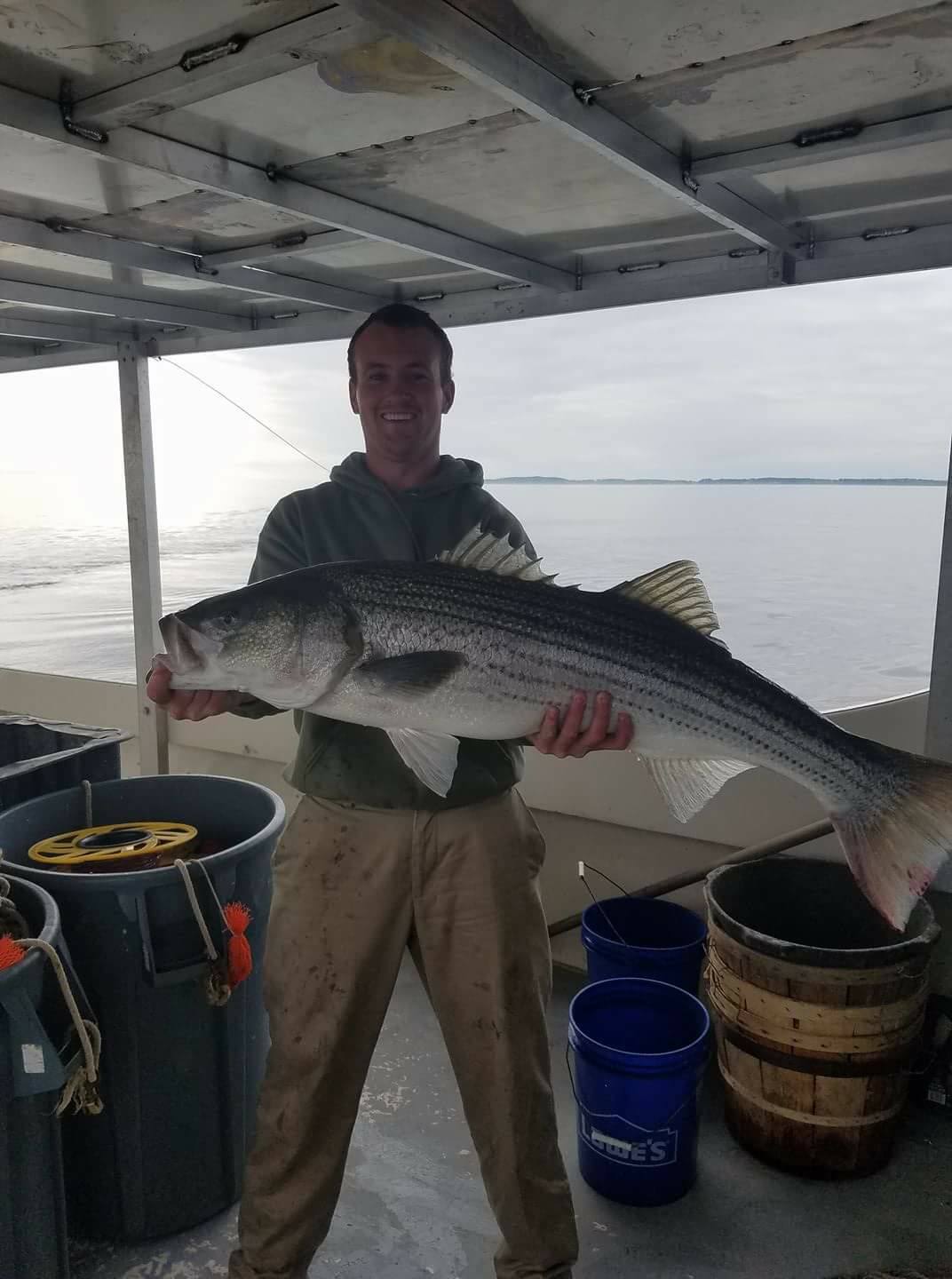 44'' Fish — Bozman, MD — PT Hambleton Seafood