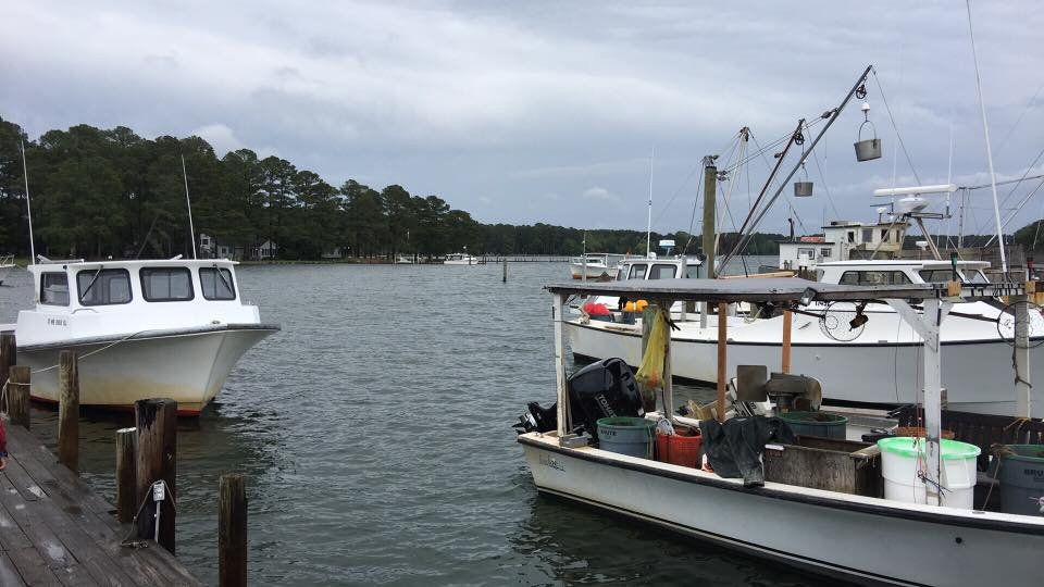 Hambleton's Boat — Bozman, MD — PT Hambleton Seafood