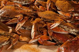Cooked Crabs — Bozman, MD — PT Hambleton Seafood