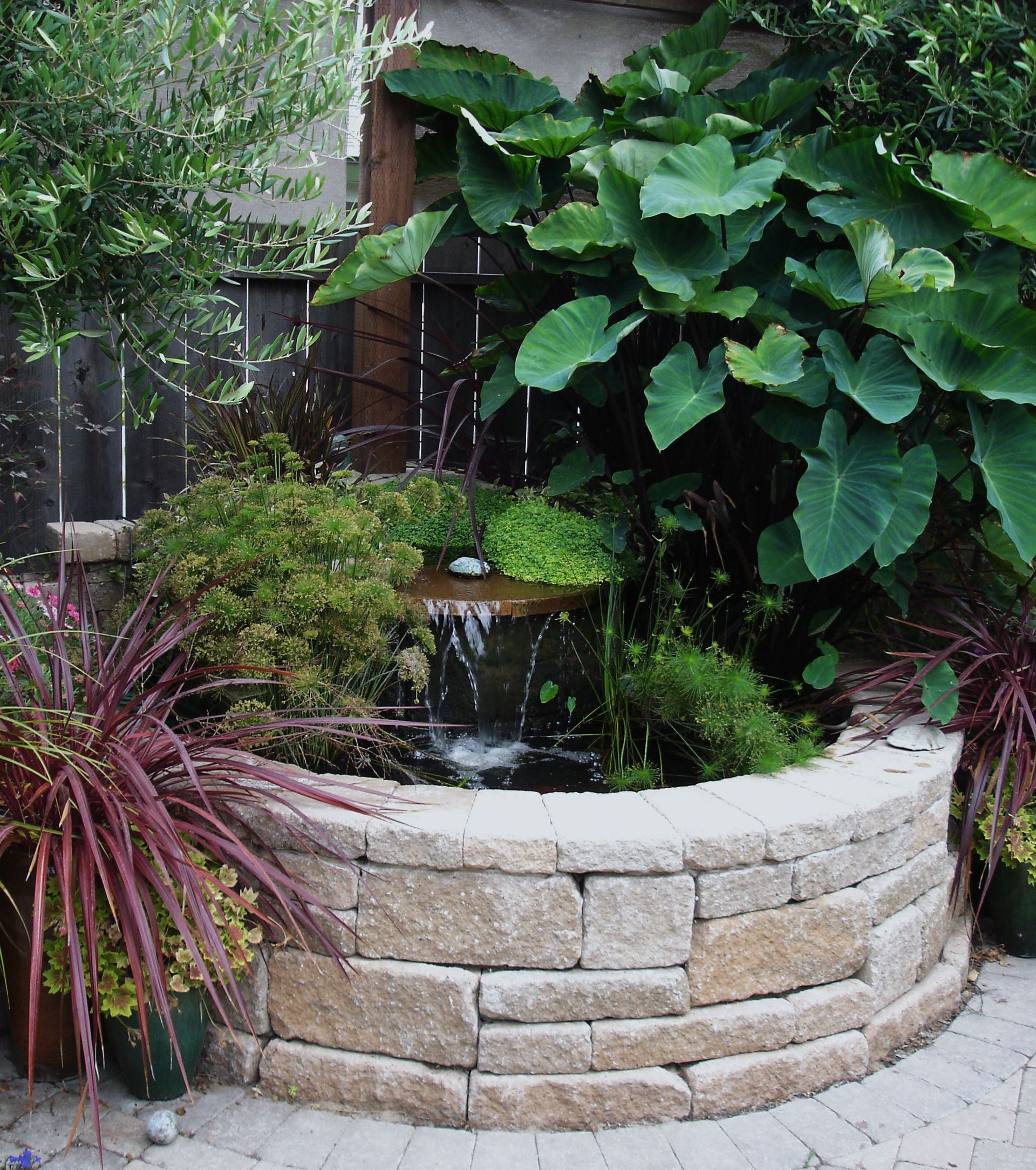 Water Falls — Arroyo Grande, CA — NSL Landscape Co.