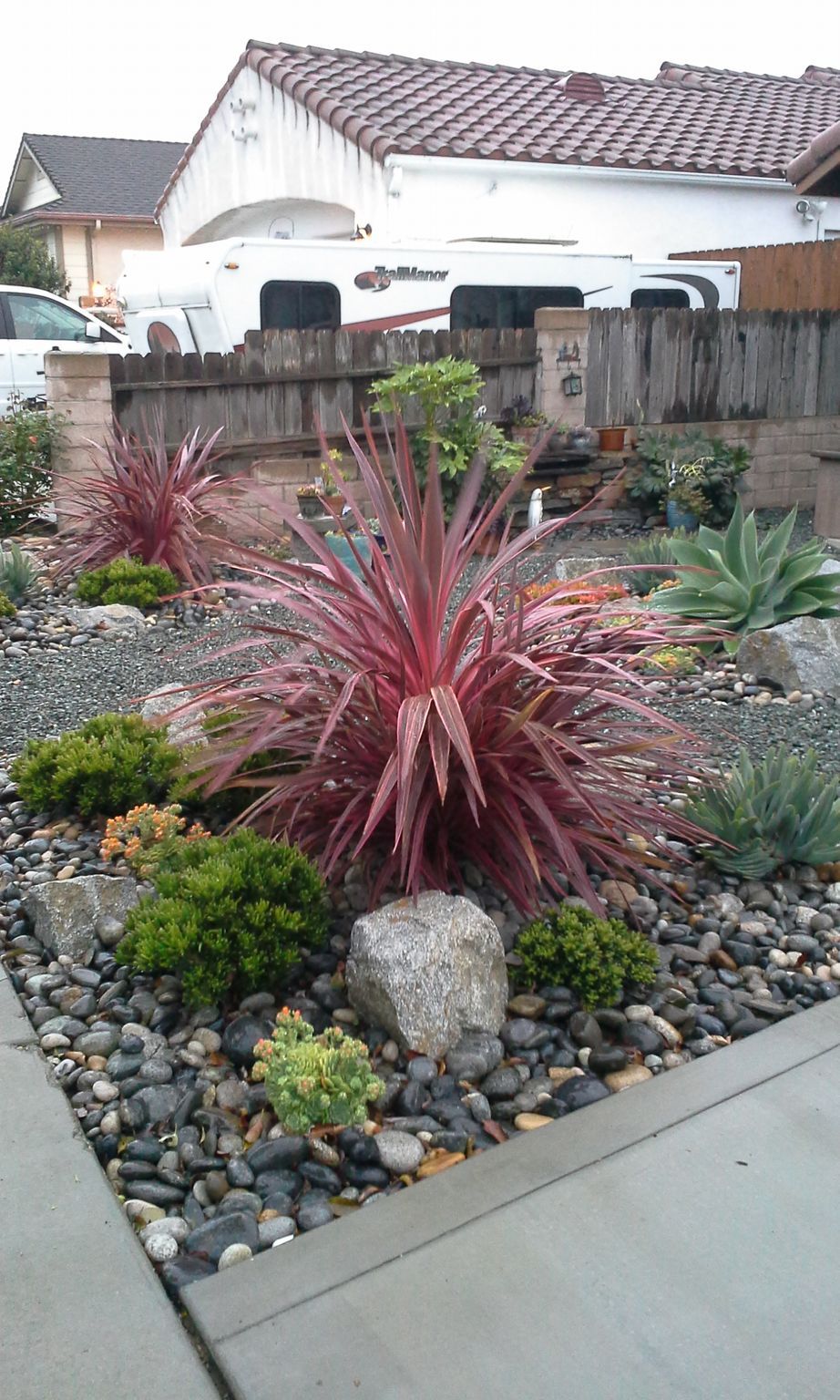 Plants — Arroyo Grande, CA — NSL Landscape Co.