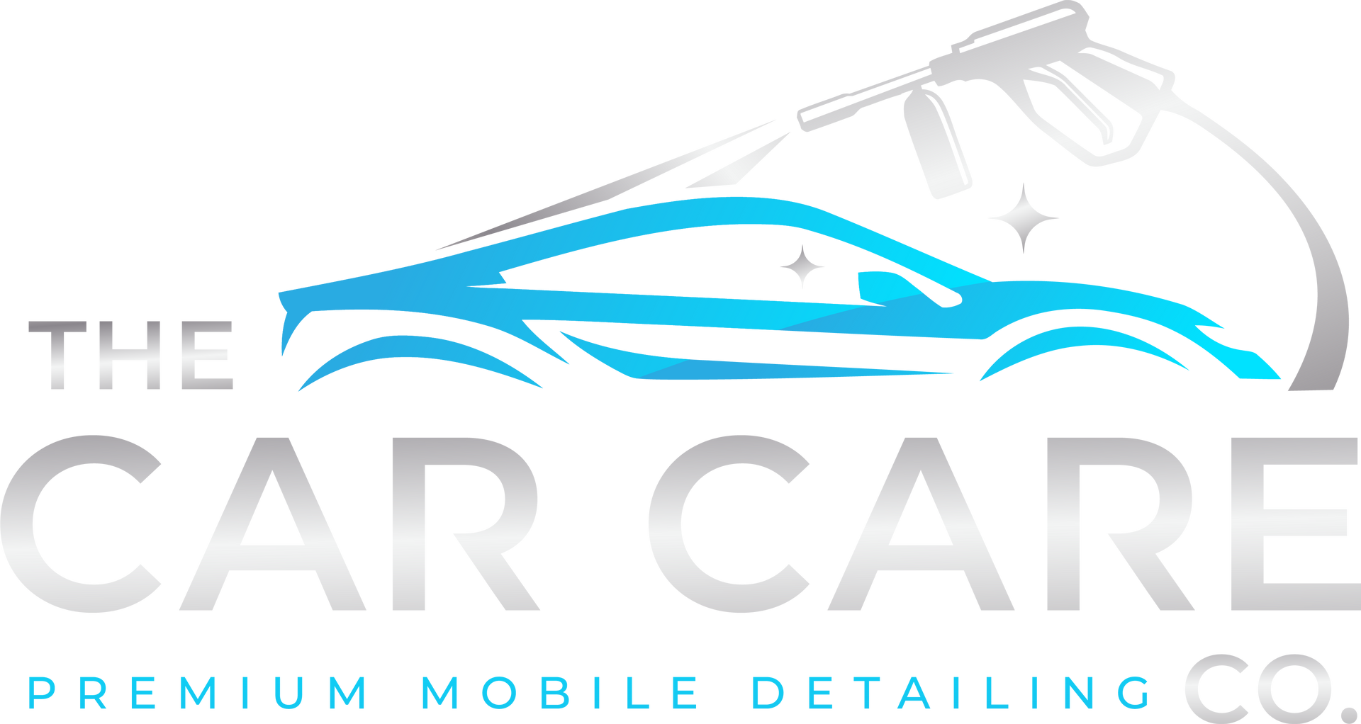 Logo: A blue car being pressure washed with silver text, "The Car Care" and "Premium Mobile Detailing Co."