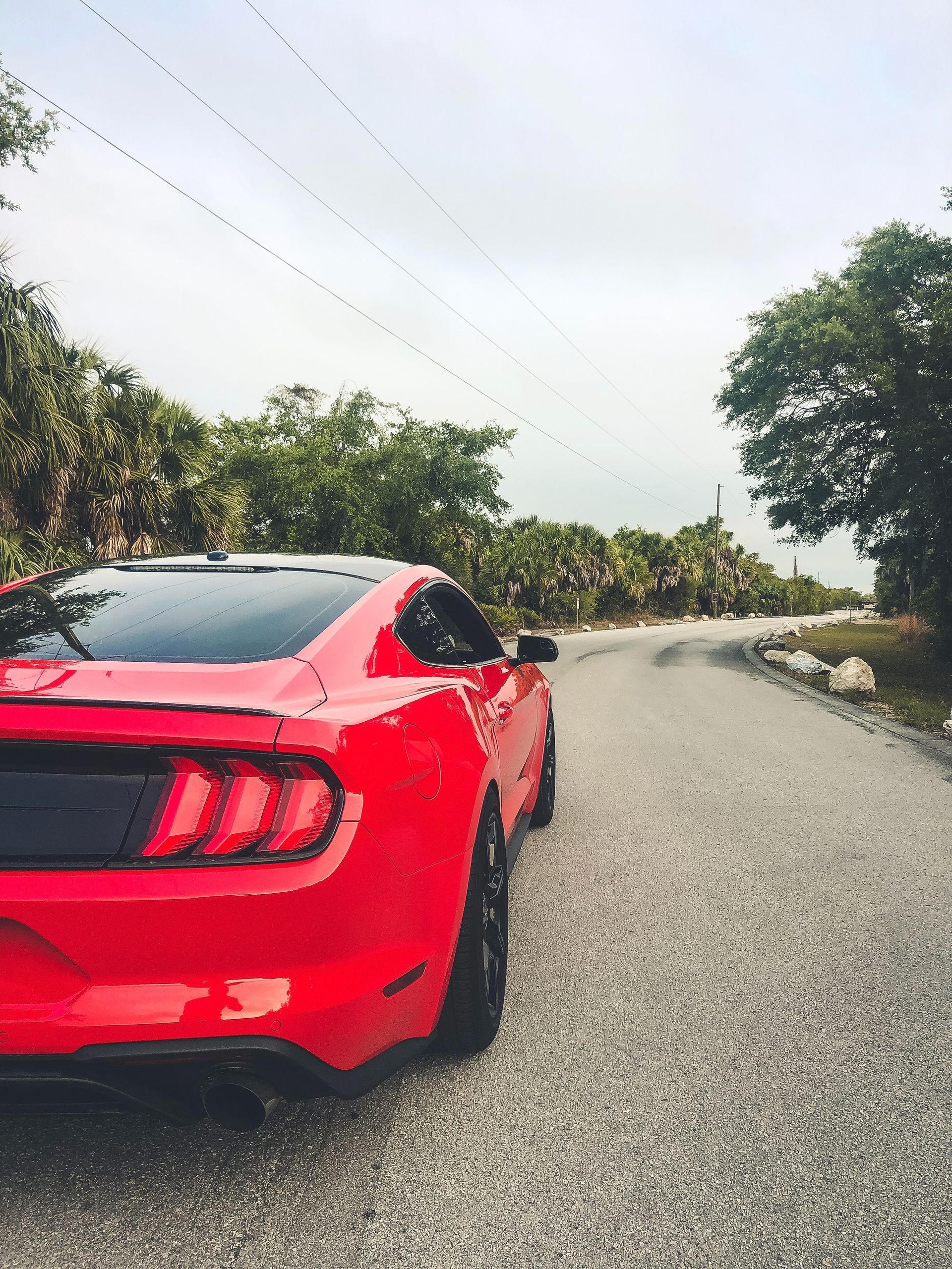 Red Ford Mustang parked on a gravel road, with trees lining the sides under an overcast sky.