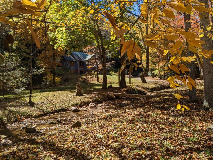 A stream running through a forest with a house in the background