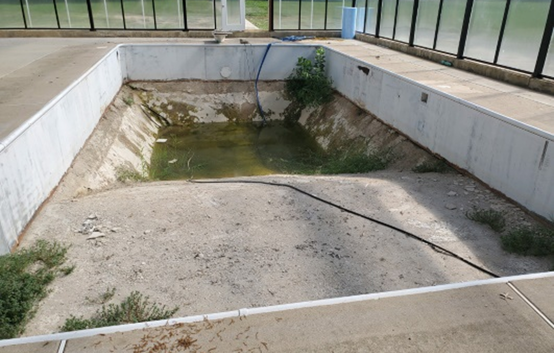 Empty concrete swimming pool with a hose draped inside, surrounded by greenery and a stone deck.