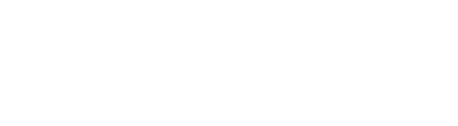 Wildix logo