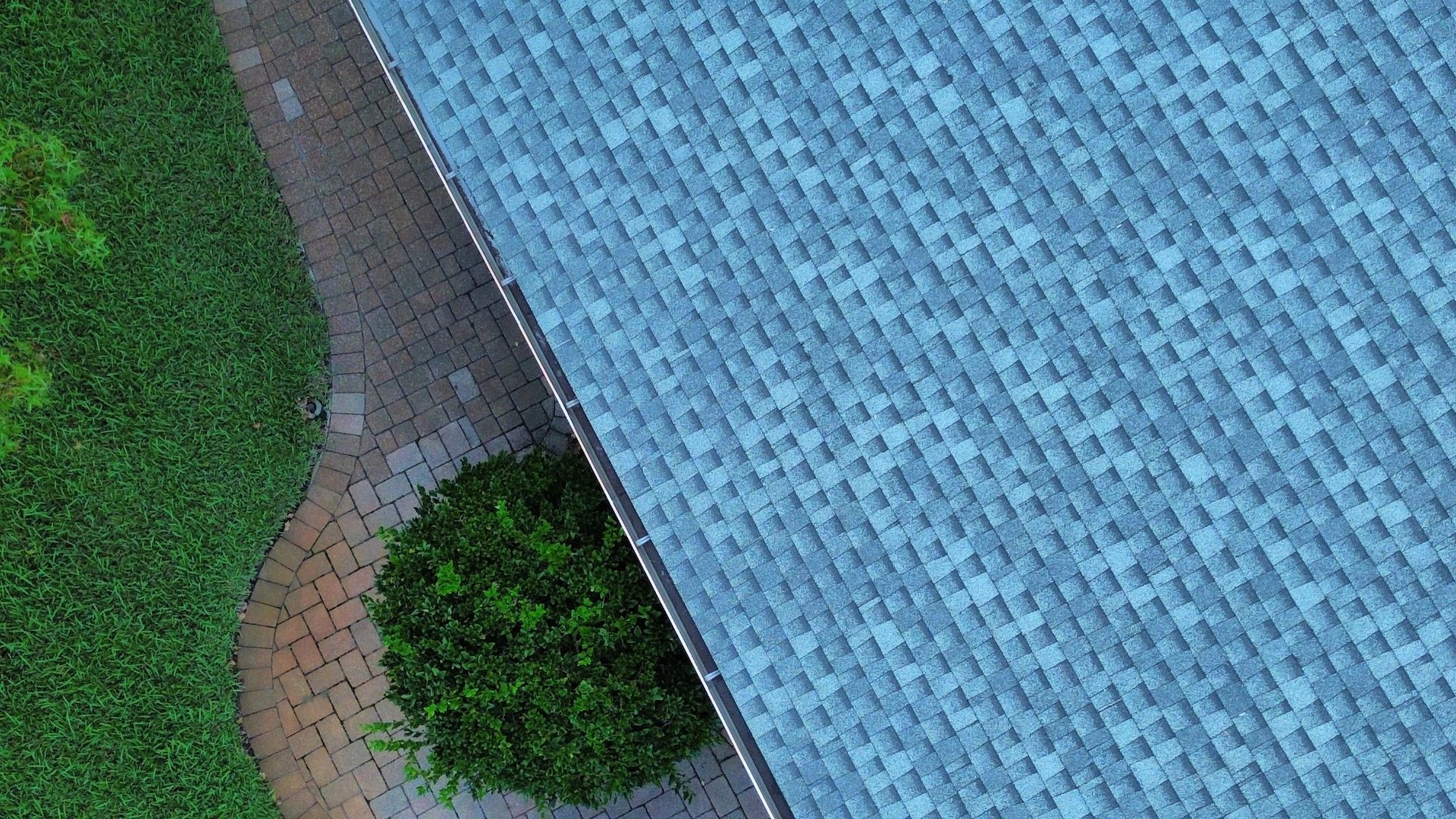 An aerial view shows a textured blue tiled pool edge next to a curved brick walkway and a green lawn with a small shrub.