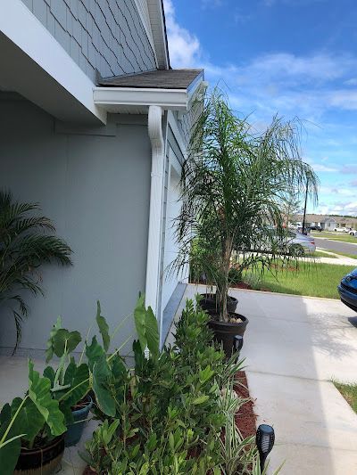 A side view of a gray house exterior featuring white gutters, potted palm trees, and leafy plants against a blue sky.