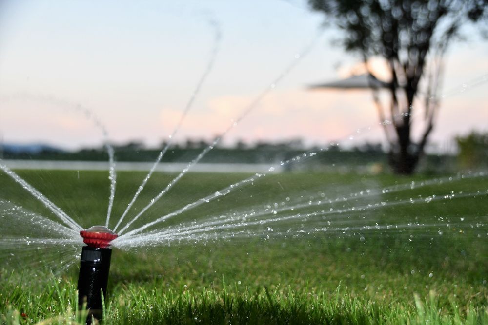Sprinkler Watering a Green Lawn at Sunset, with Water Streams Spraying Outward — Taree Water Works in Taree, NSW