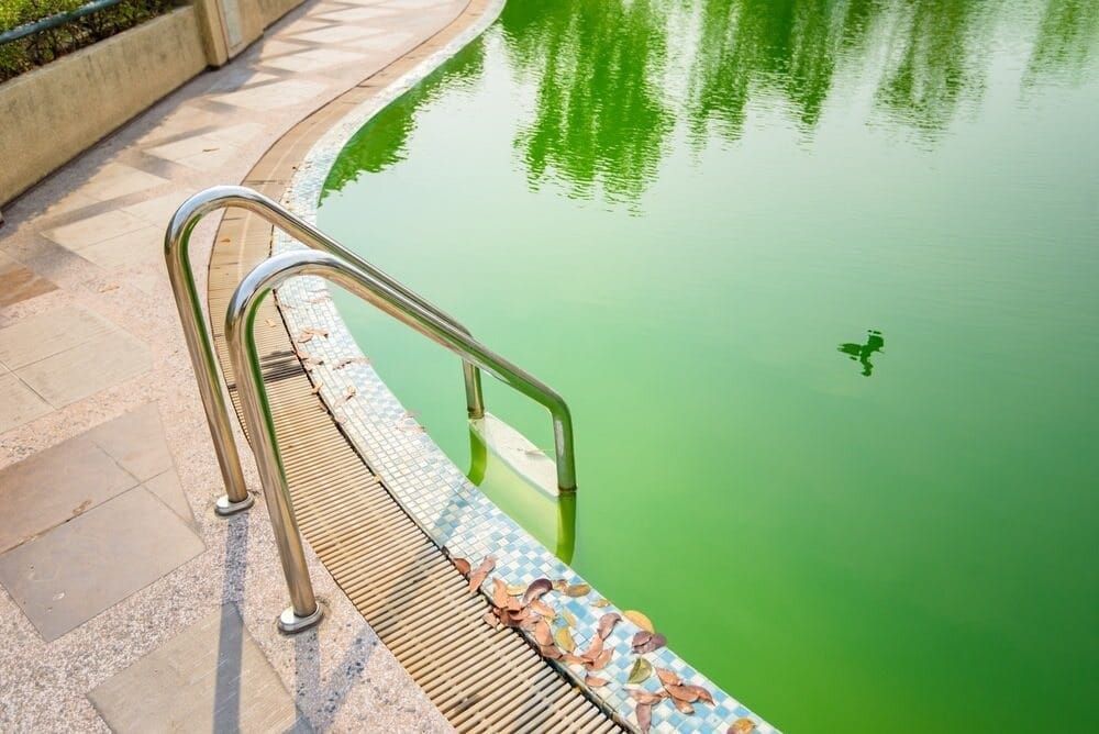 Pool Ladder Beside Green-Tinged Water Reflecting Trees and A Single Leaf — Taree Water Works in Taree, NSW