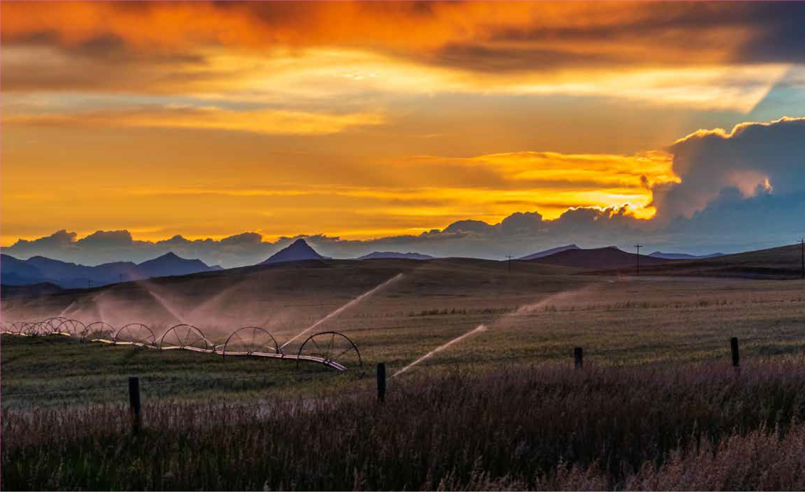 Golden Sunset Over Misty Mountains and a Grassy Field — Taree Water Works in Taree, NSW