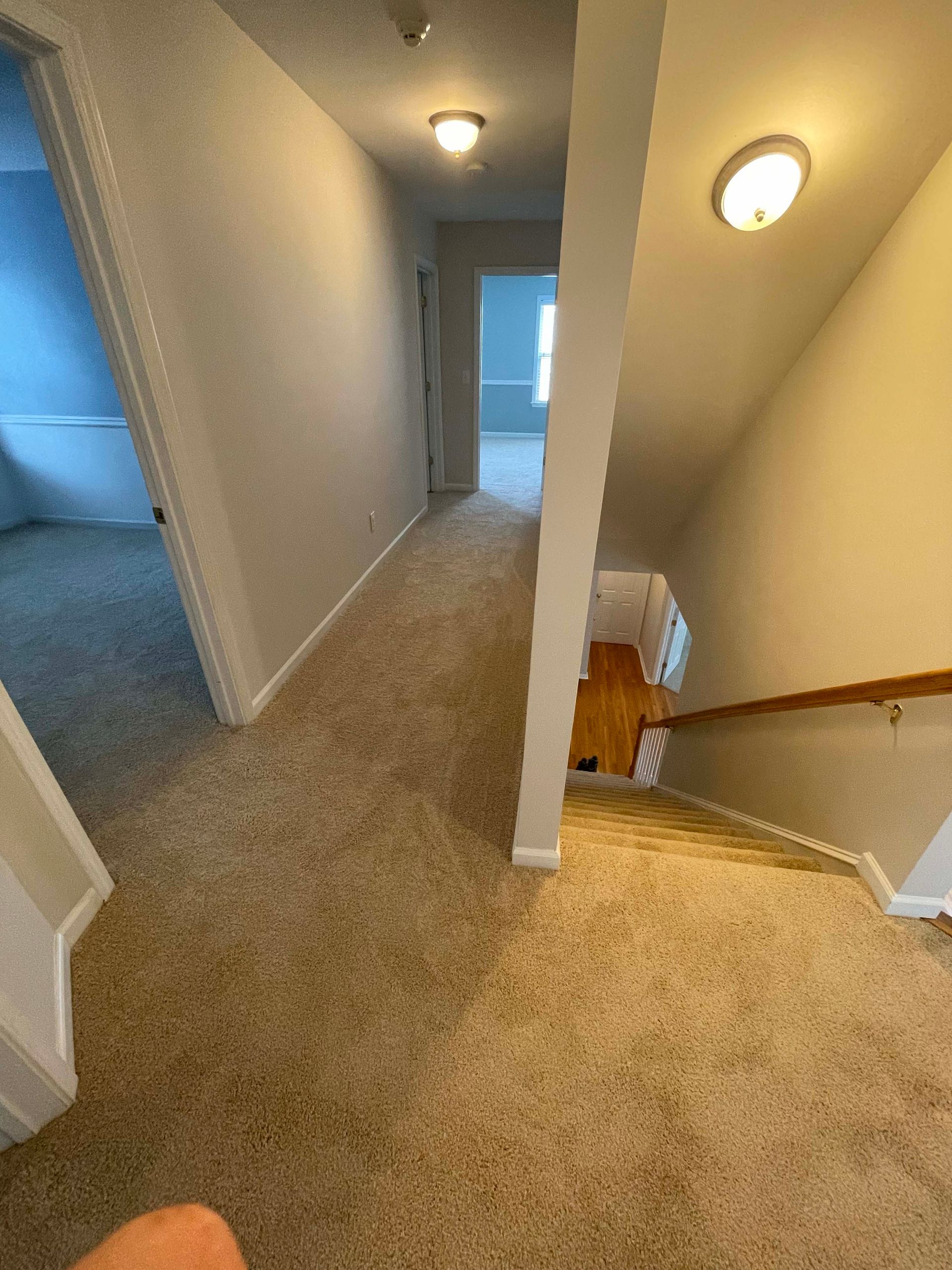 Hallway with tan carpet, stairs, and doorways leading to rooms.