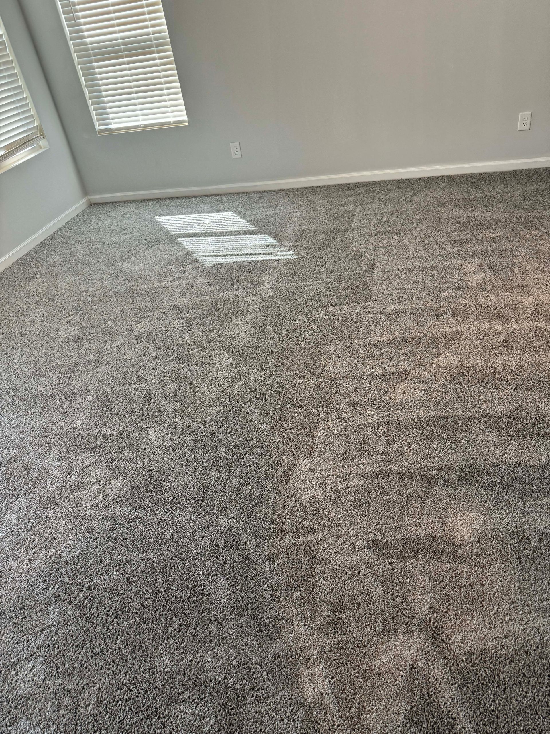 Gray carpeted room with sunlight from window.