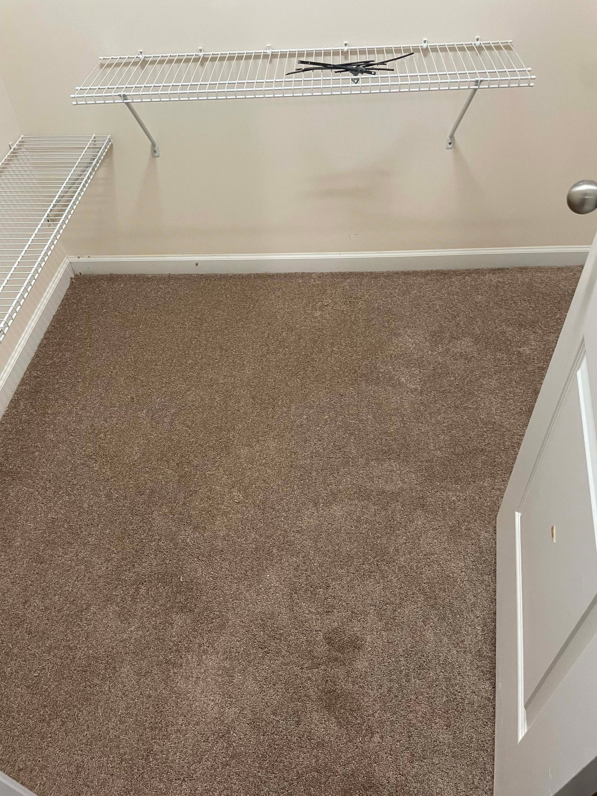 A small room with brown carpet, white trim, and a wire shelf attached to the wall.