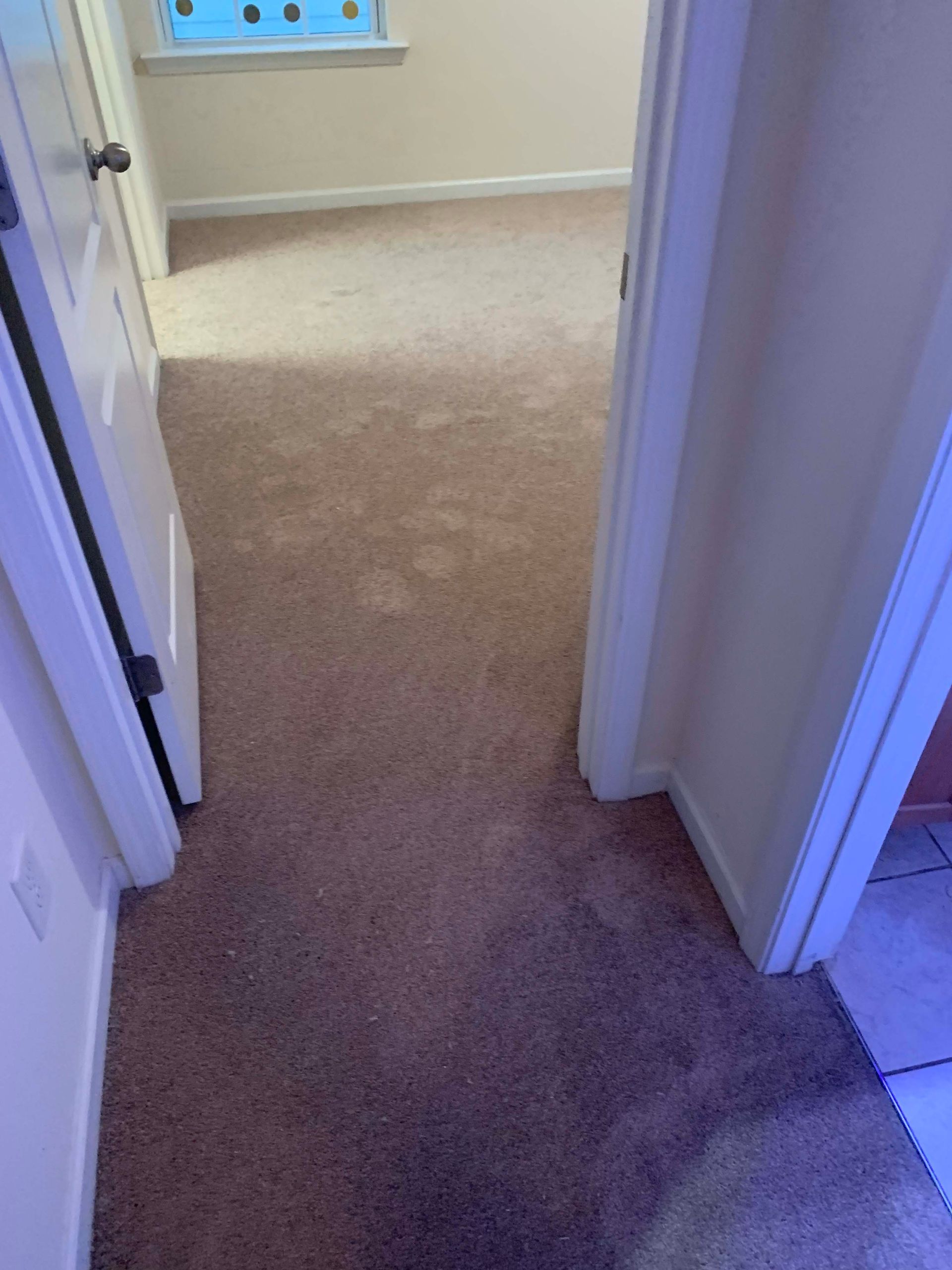 A doorway leads into a room with brown carpet and white walls.