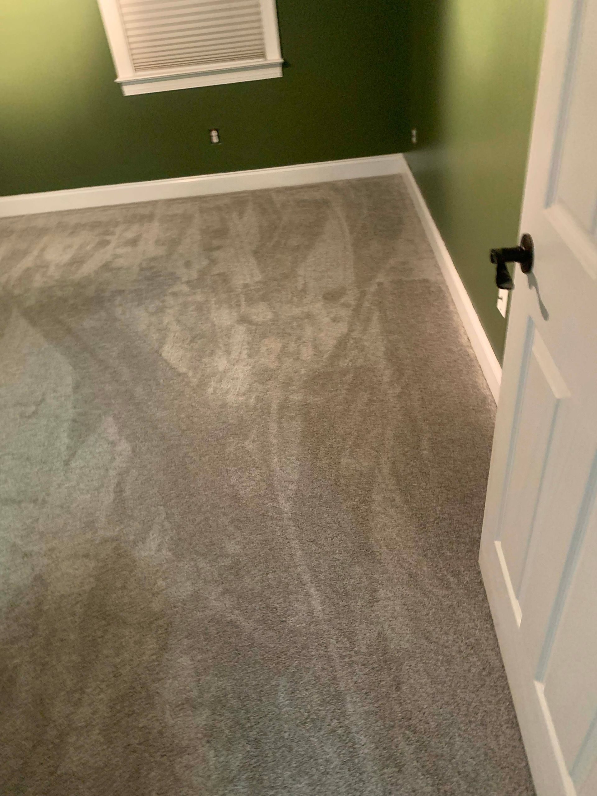 Gray carpet in a room with green walls, a white door, and a partially visible window.